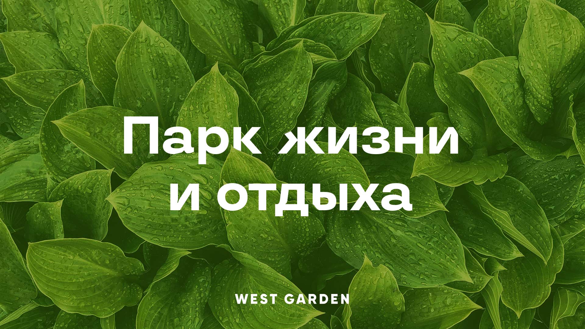 West Garden
